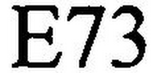 E73 logo