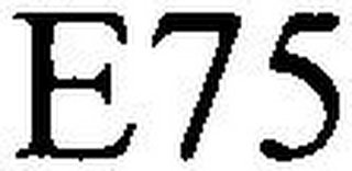 E75 logo
