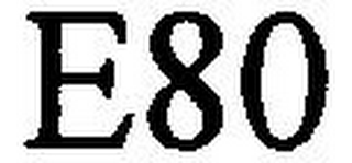 E80 logo