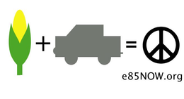 E85NOW.ORG logo