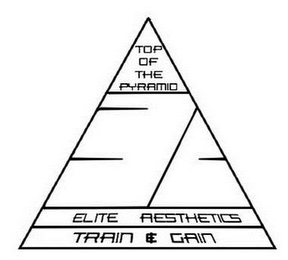 EA TOP OF THE PYRAMID ELITE AESTHETICS TRAIN & GAIN logo