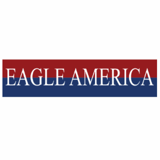 EAGLE AMERICA logo