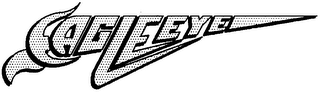 EAGLE EYE logo