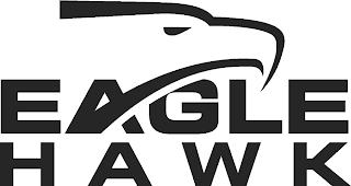 EAGLE HAWK logo