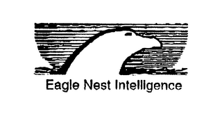 EAGLE NEST INTELLIGENCE logo