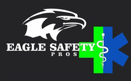 EAGLE SAFETY PROS logo