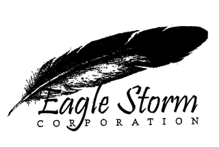 EAGLE STORM CORPORATION logo