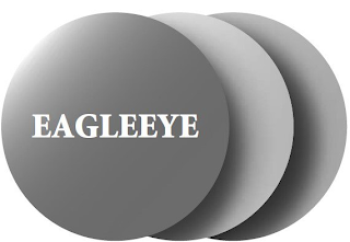 EAGLEEYE logo