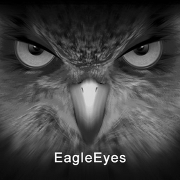 EAGLEEYES logo