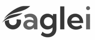 EAGLEI logo