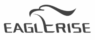 EAGLERISE logo