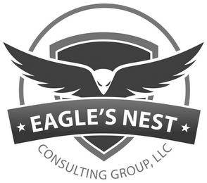 EAGLE'S NEST CONSULTING GROUP, LLC logo