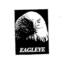 EAGLEYE logo