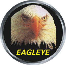 EAGLEYE logo