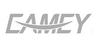 EAMEY logo