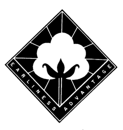 EARLINESS ADVANTAGE logo