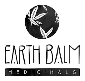 EARTH BALM MEDICINALS logo