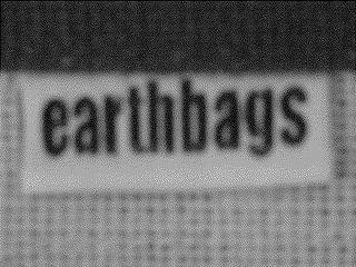 EARTHBAGS logo