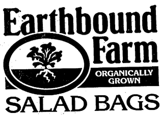 EARTHBOUND FARM ORGANICALLY GROWN SALAD BAGS logo