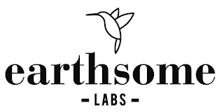 EARTHSOME LABS logo