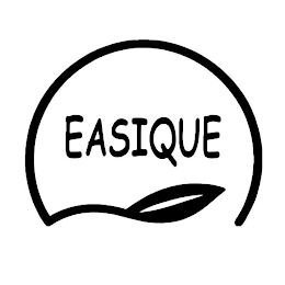 EASIQUE logo