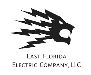 EAST FLORIDA ELECTRIC COMPANY, LLC logo