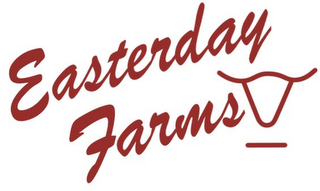 EASTERDAY FARMS STEER HEAD LOGO WITH BAR UNDER STEER HEAD logo