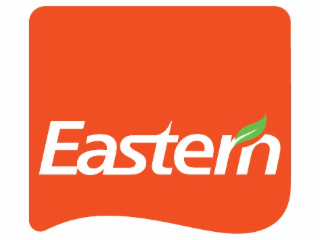 EASTERN logo