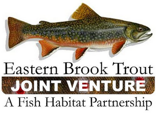 EASTERN BROOK TROUT JOINT VENTURE A FISH HABITAT PARTNERSHIP logo