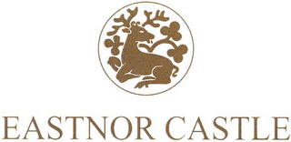 EASTNOR CASTLE