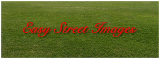 EASY STREET IMAGES logo