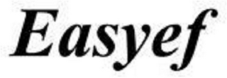 EASYEF logo