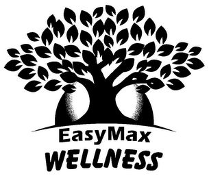 EASYMAX WELLNESS logo