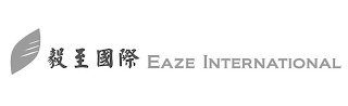 EAZE INTERNATIONAL logo