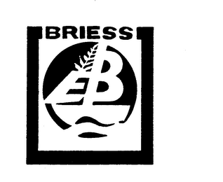 EB BRIESS logo