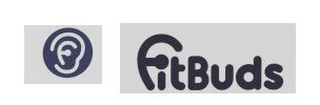 EB EITBUDS logo