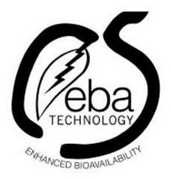 EBA TECHNOLOGY logo
