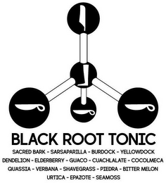 EBCCC BLACK ROOT TONIC SACRED BARK SARSAPARILLA BURDOCK YELLOWDOCK DENDELION ELDEBERRY GUACO CUACHLALATE COCOLMECA QUASSIA VERANA SHAVEGRASS PIEDRA BITTER MELON URTICA EPAZOTE SEAMOSS logo