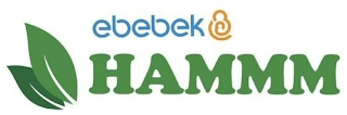 EBEBEK HAMMM logo