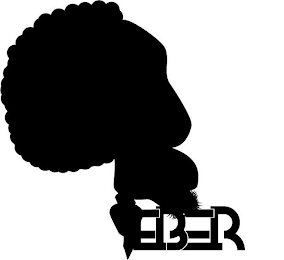 EBER logo