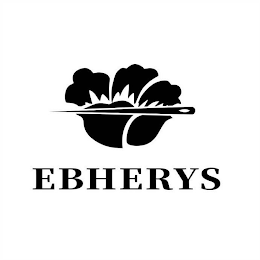 EBHERYS logo