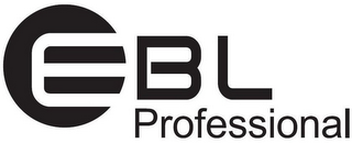 EBL PROFESSIONAL logo