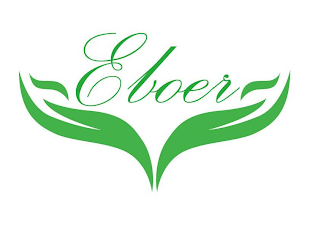 EBOER logo