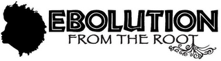 EBOLUTION FROM THE ROOT logo