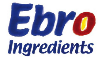 EBRO INGREDIENTS logo