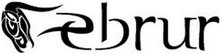 EBRUR logo