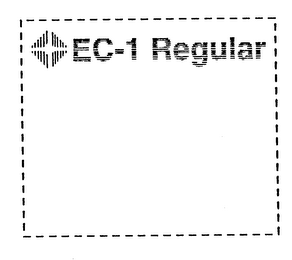 EC-1 REGULAR logo