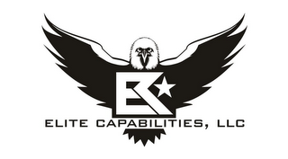 EC ELITE CAPABILITIES, LLC logo