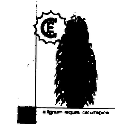 EC SI LIGNUM REQUIRIS, CIRCUMSPICE logo