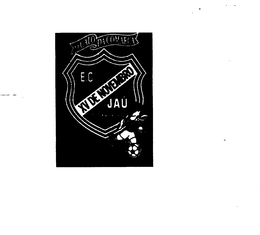 E.C. XV DE NOVEMBRO JAU O GALO DA COMARCA FUNDADO logo